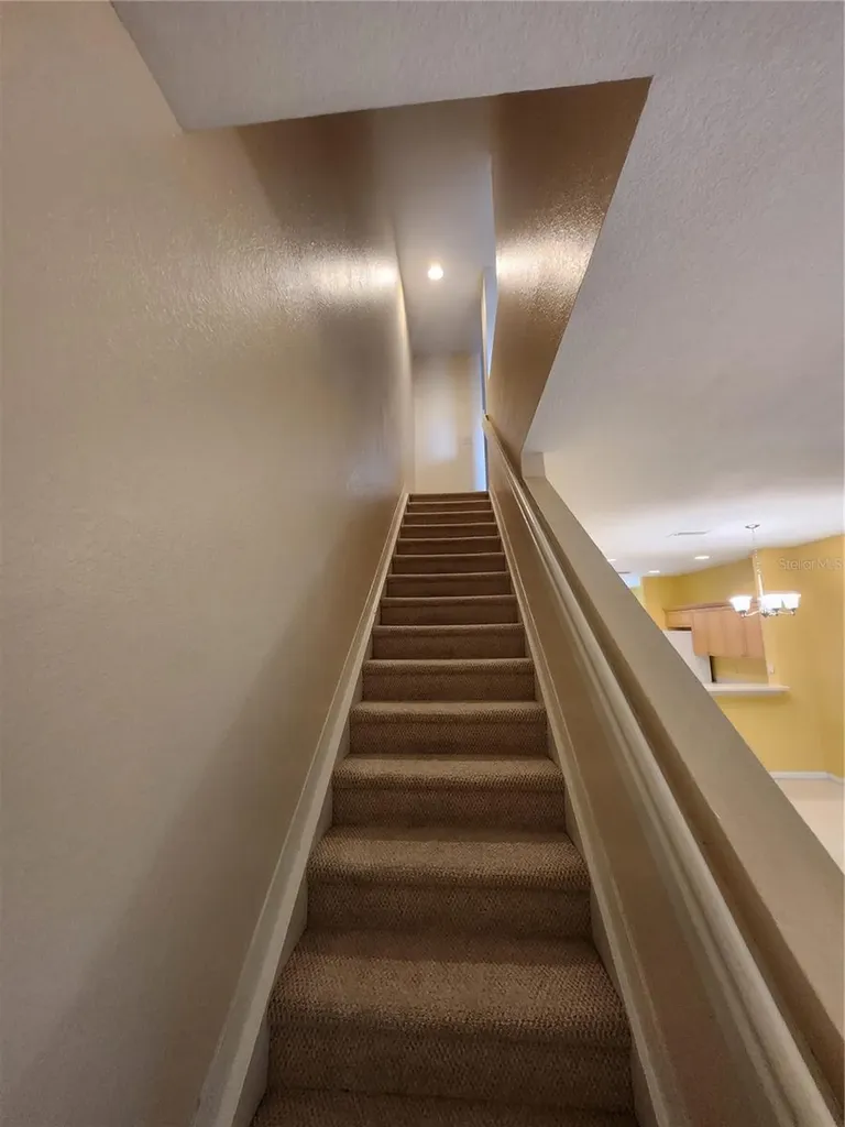 11076 Winter Crest Drive Riverview FL 33569