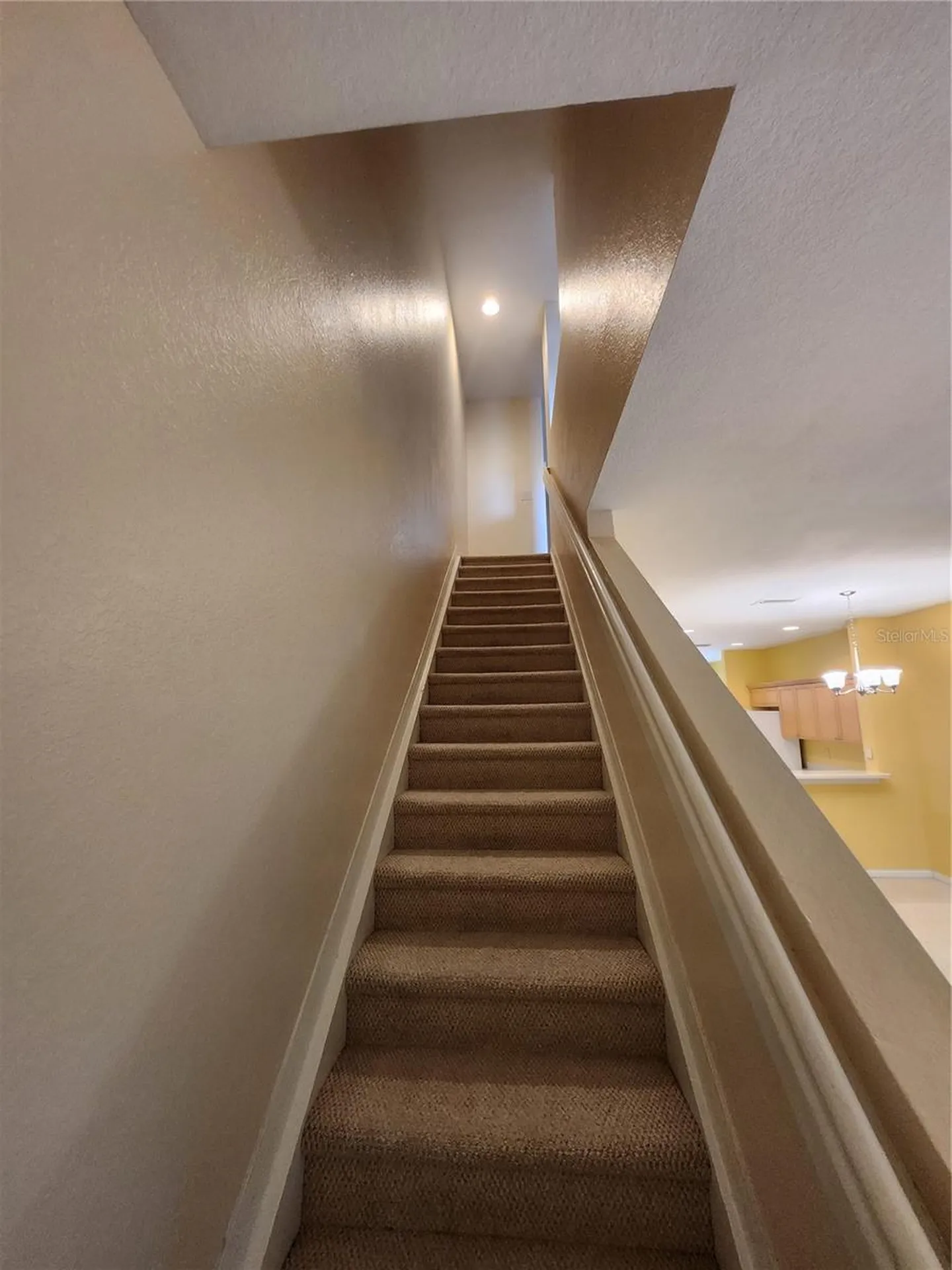 11076 Winter Crest Drive Riverview FL 33569