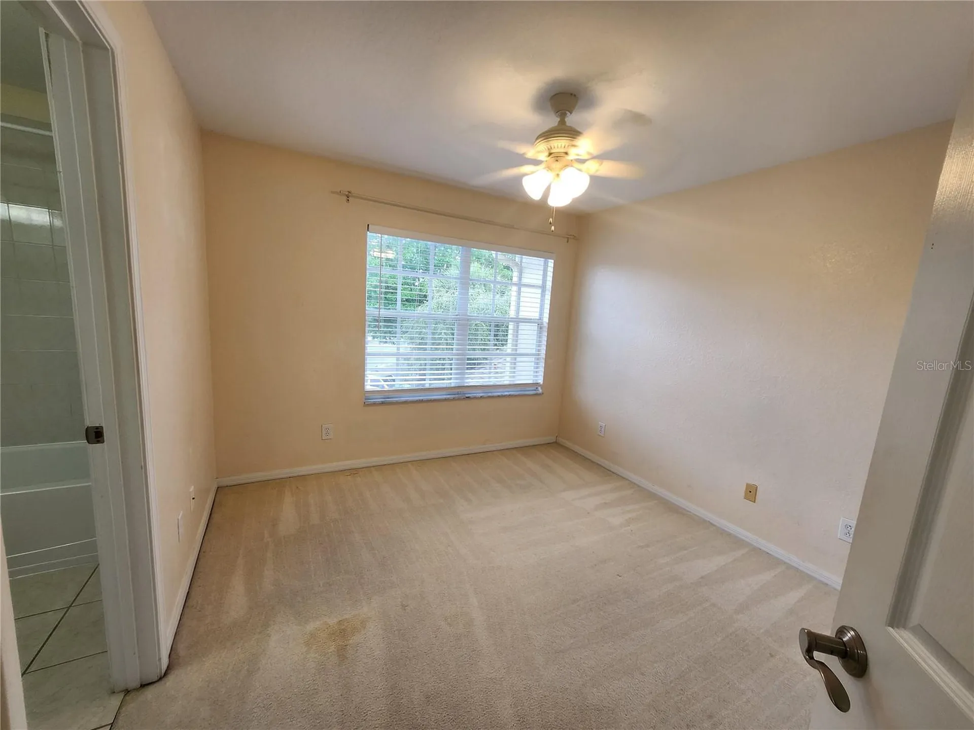 11076 Winter Crest Drive Riverview FL 33569