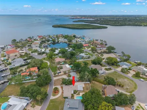 125 Carlyle Drive Palm Harbor FL 34683