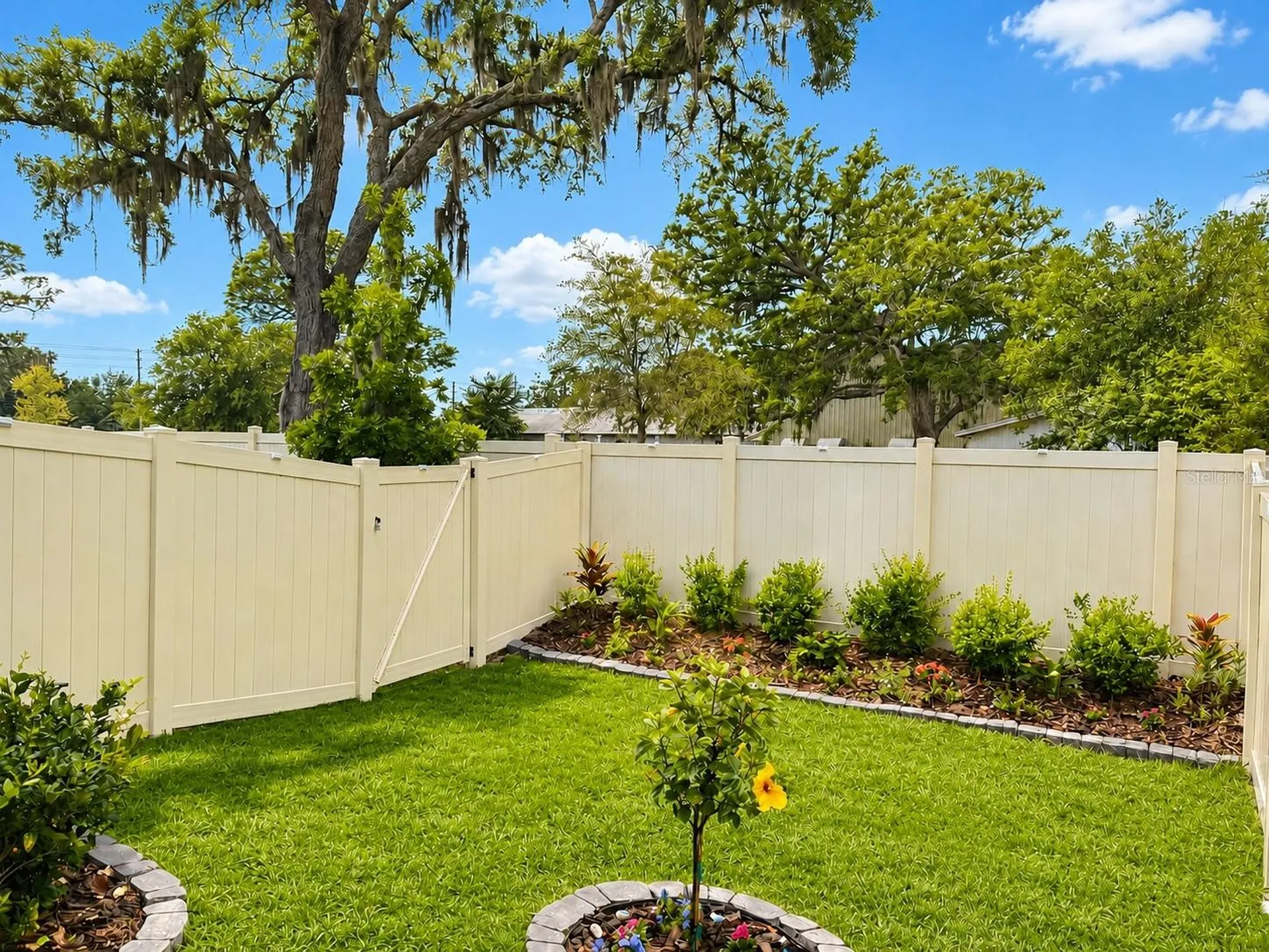 2561 Charlan Court Holiday FL 34690