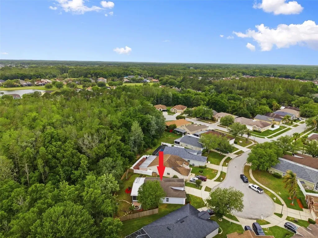 5419 Seattle Slew Drive Wesley Chapel FL 33544