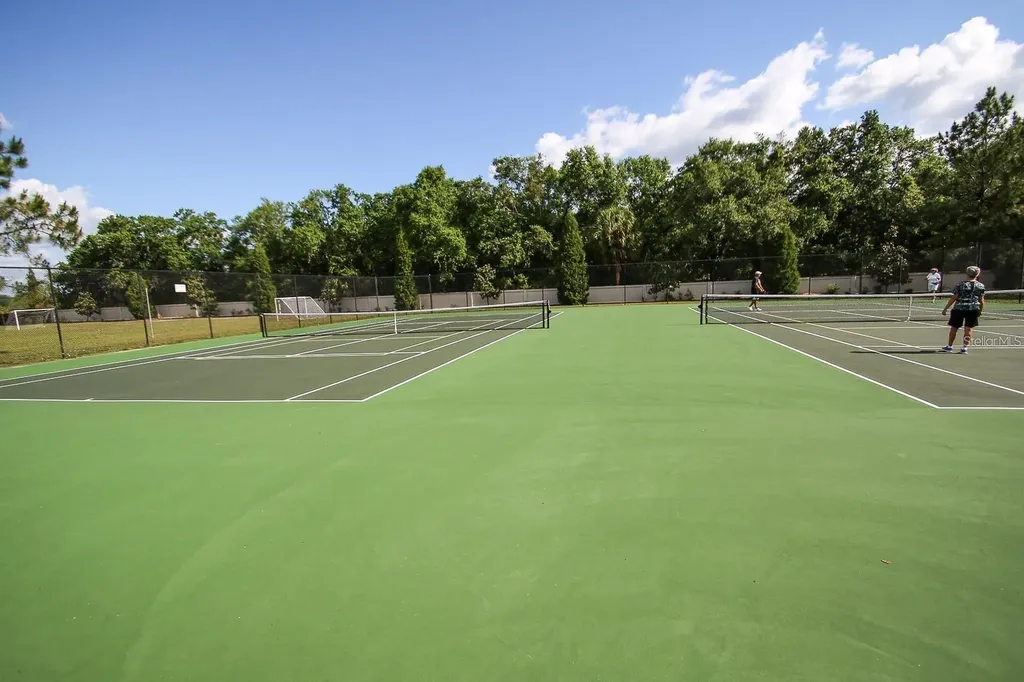 5419 Seattle Slew Drive Wesley Chapel FL 33544