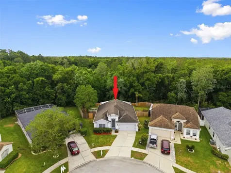5419 Seattle Slew Drive Wesley Chapel FL 33544
