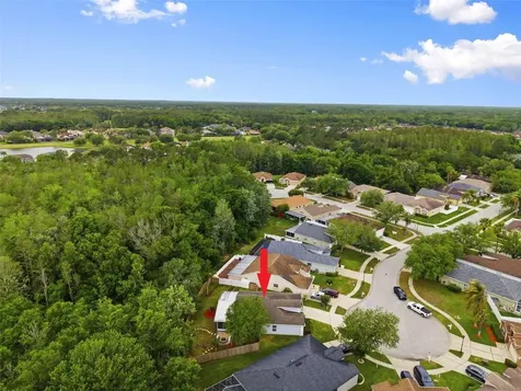 5419 Seattle Slew Drive Wesley Chapel FL 33544