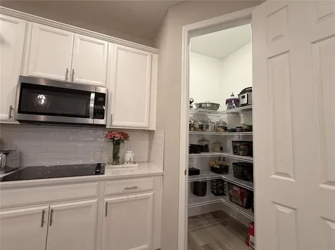 4863 Lacewing Drive Winter Garden FL 34787