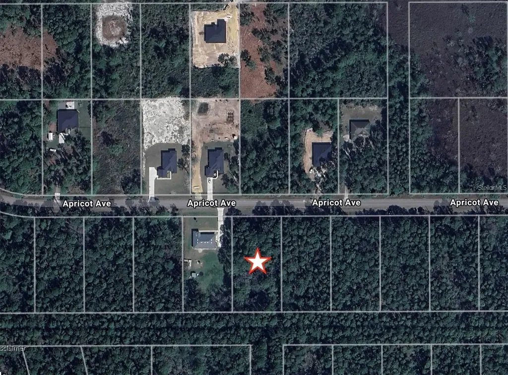 Apricot Avenue Eustis FL 32736