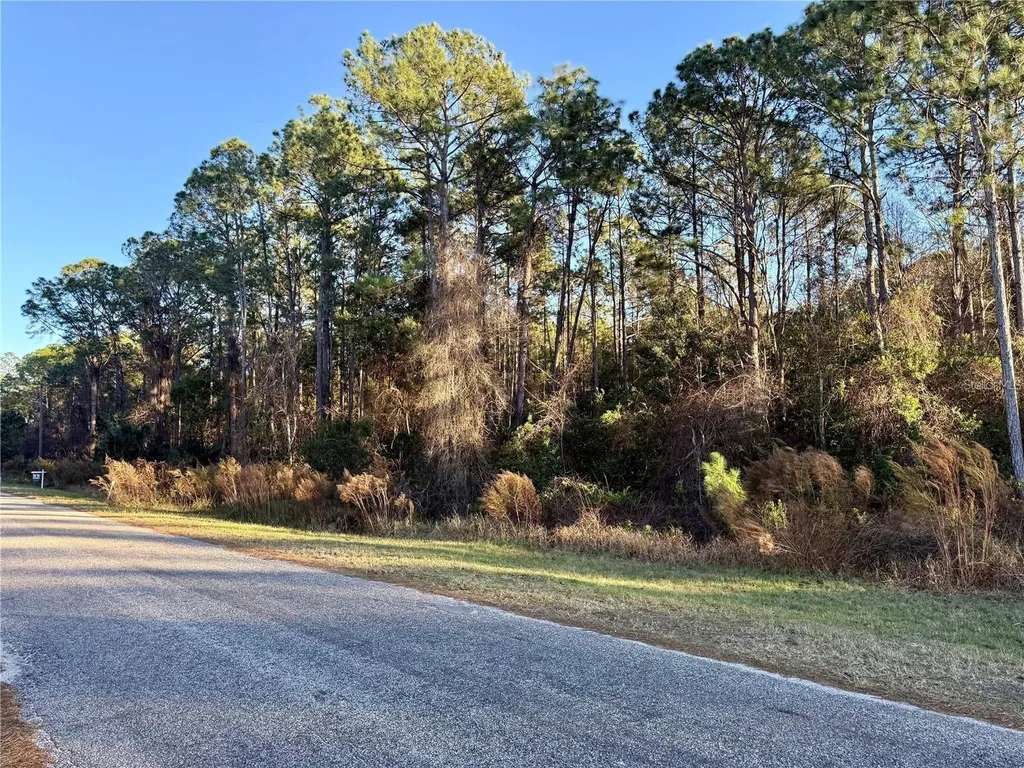 Apricot Avenue Eustis FL 32736