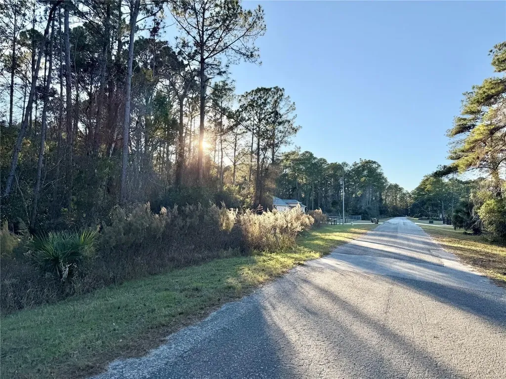 Apricot Avenue Eustis FL 32736