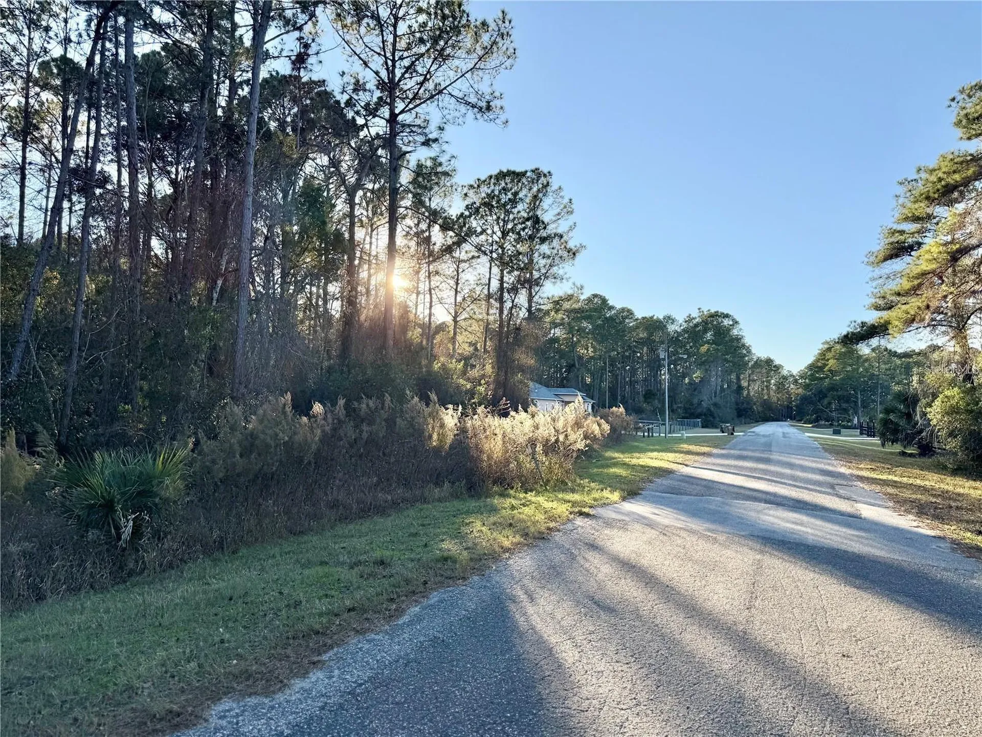 Apricot Avenue Eustis FL 32736