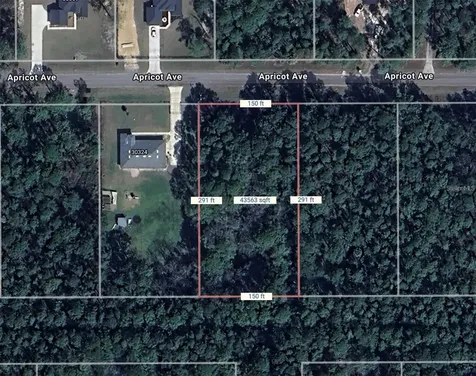 Apricot Avenue Eustis FL 32736