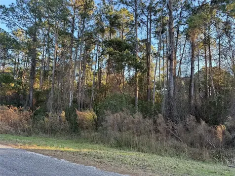 Apricot Avenue Eustis FL 32736