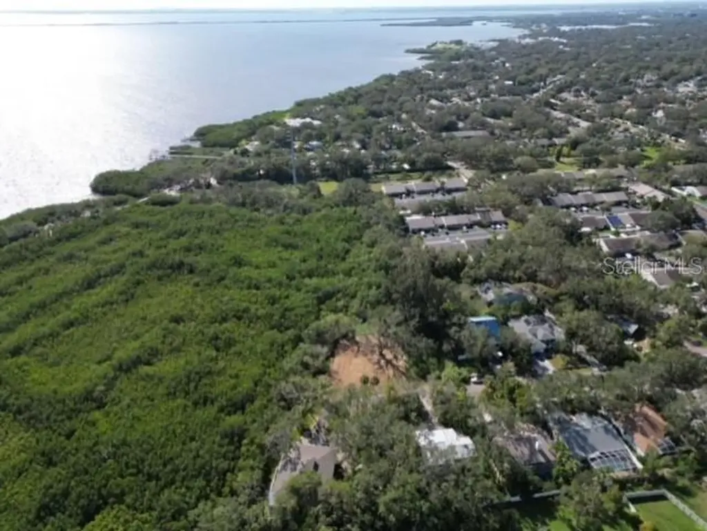 Irwin Street Safety Harbor FL 34695