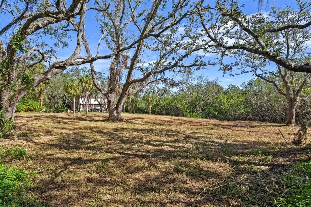Irwin Street Safety Harbor FL 34695