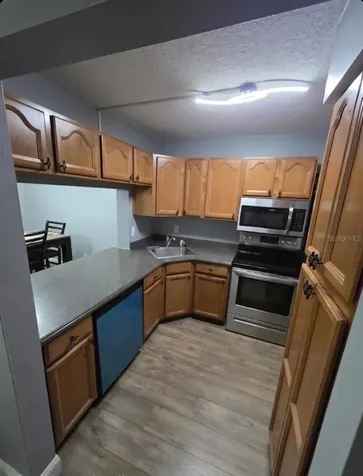 1624 S Pine Ridge Sanford FL 32773