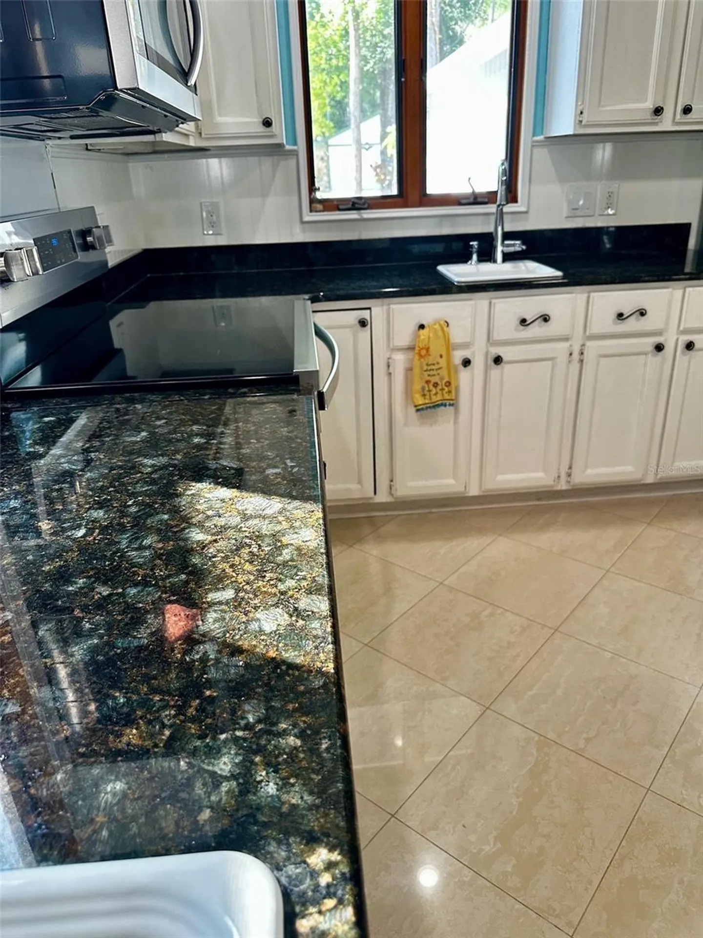 3421 Brian Road S Palm Harbor FL 34685