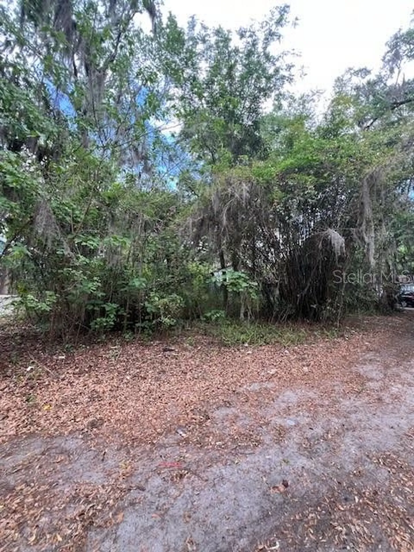 120 NW 9th Street Gainesville FL 32601