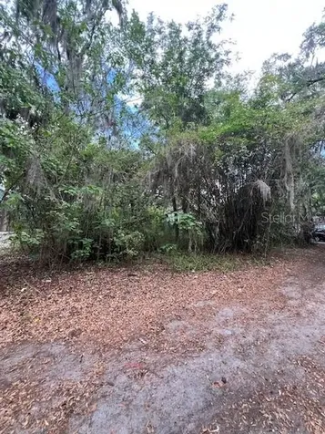 120 NW 9th Street Gainesville FL 32601