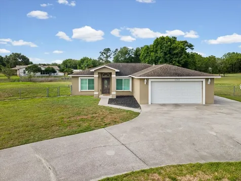 31706 Hunt Club Lane Wesley Chapel FL 33543