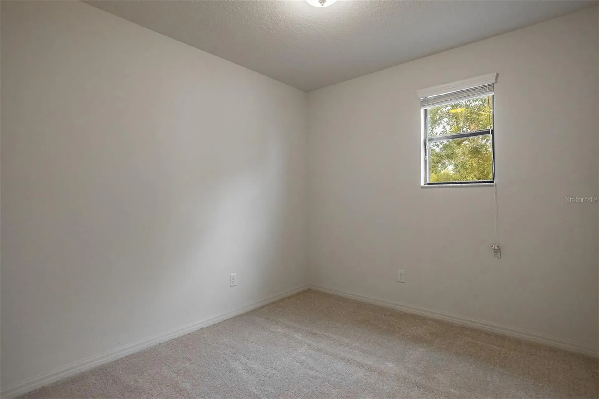 19433 Whispering Brook Drive Tampa FL 33647