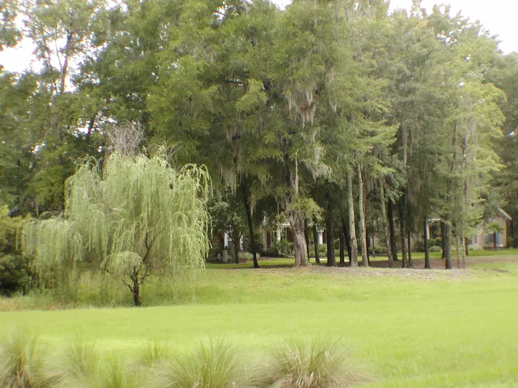13265 SW 6th Avenue Newberry FL 32669