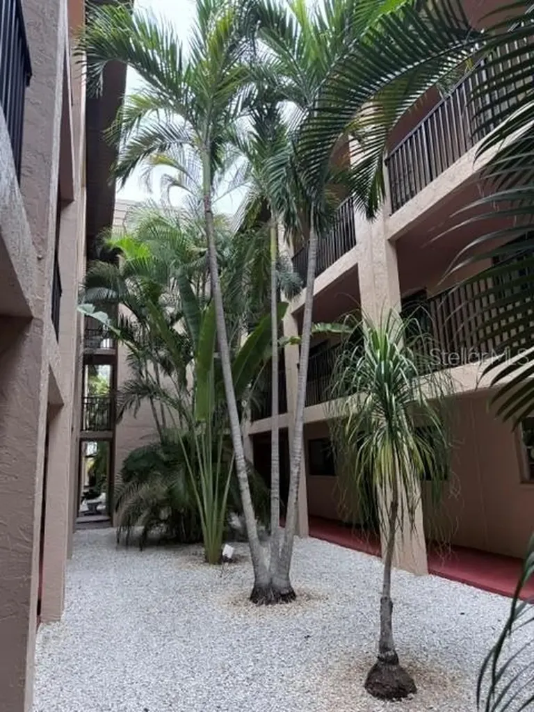 3700 S Osprey Avenue Sarasota FL 34239