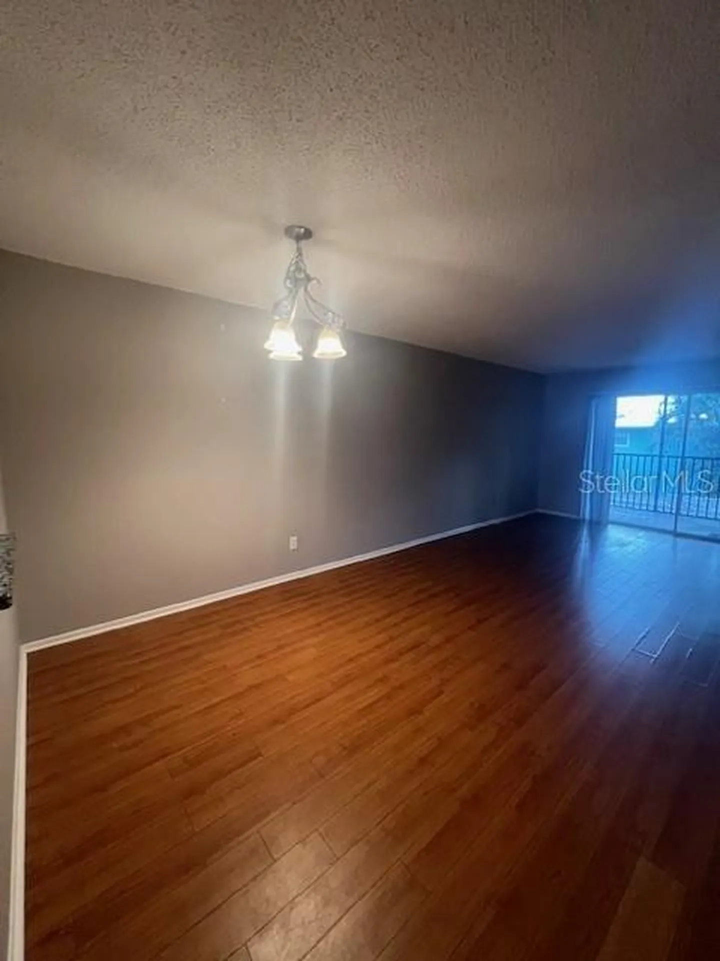 3700 S Osprey Avenue Sarasota FL 34239