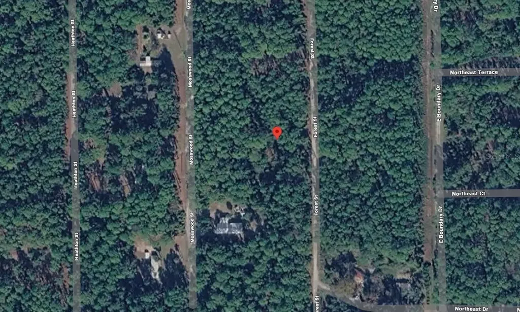 143 Forest Street Georgetown FL 32139