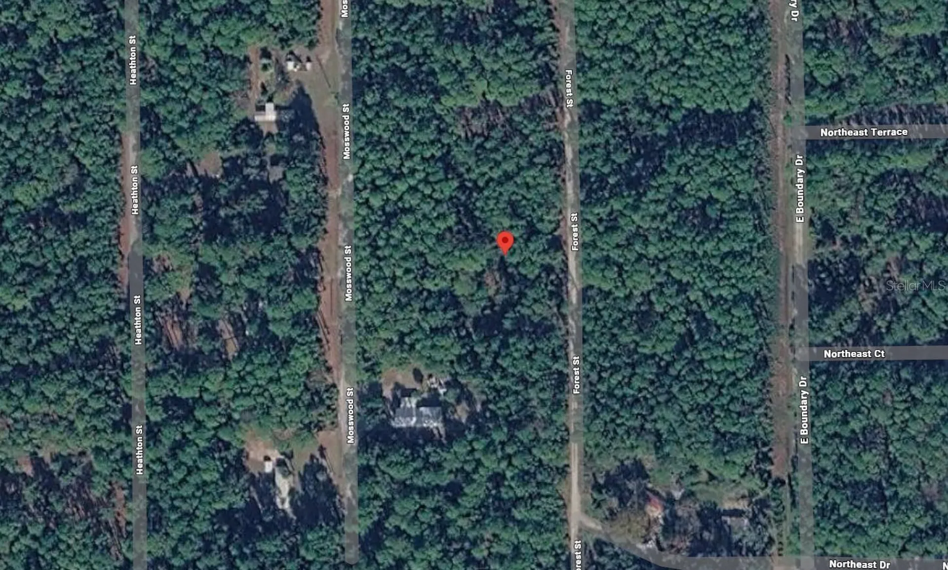 143 Forest Street Georgetown FL 32139