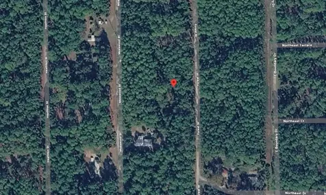 143 Forest Street Georgetown FL 32139