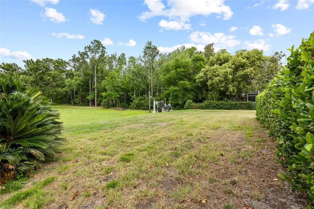 1442 Kinsmere Drive Trinity FL 34655