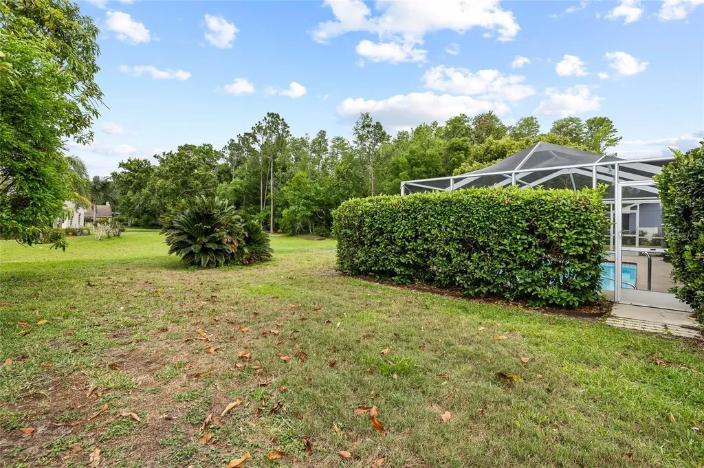1442 Kinsmere Drive Trinity FL 34655