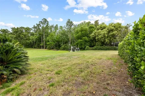 1442 Kinsmere Drive Trinity FL 34655