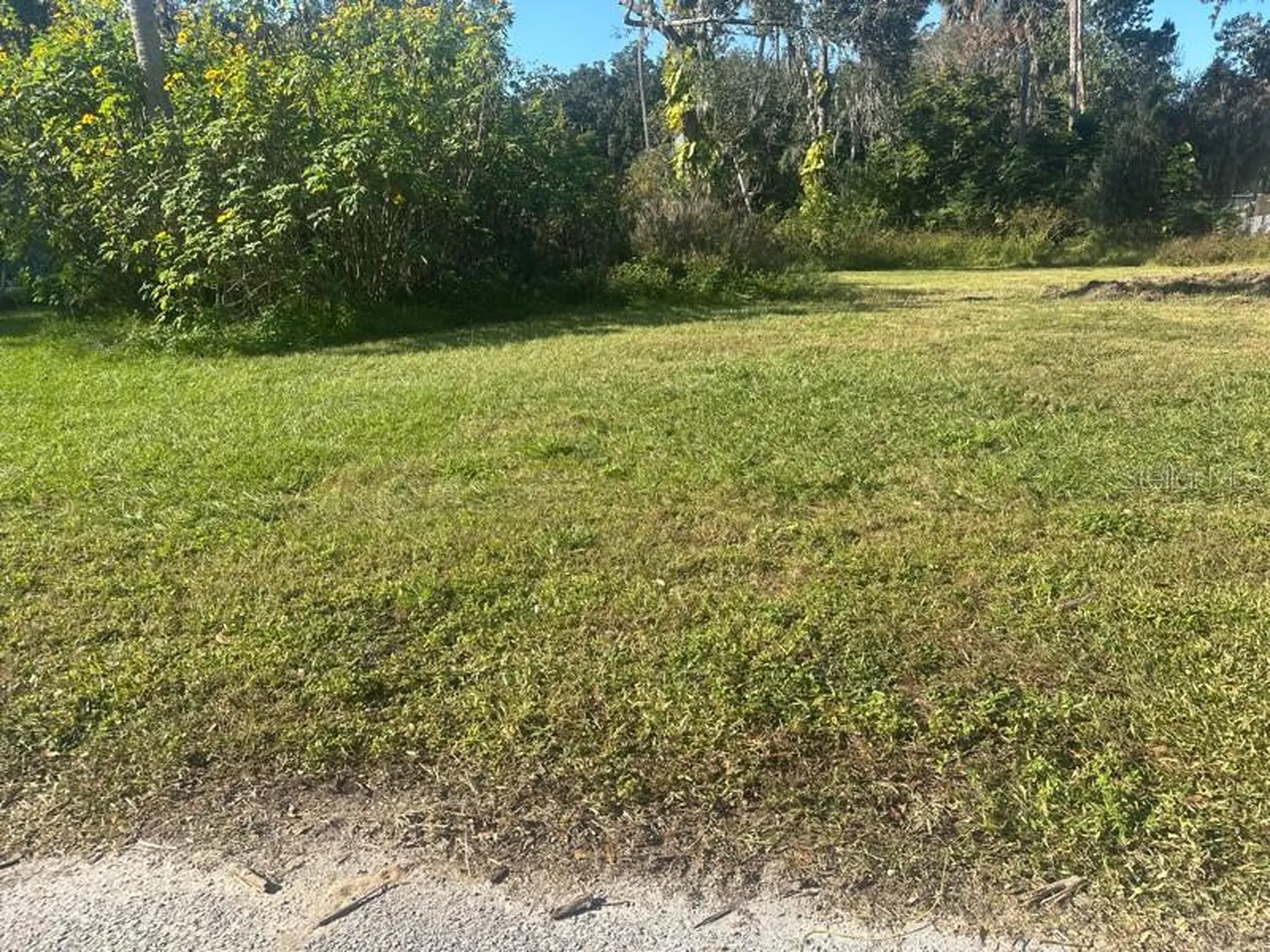 1148 Buena Vista Drive Daytona Beach FL 32117