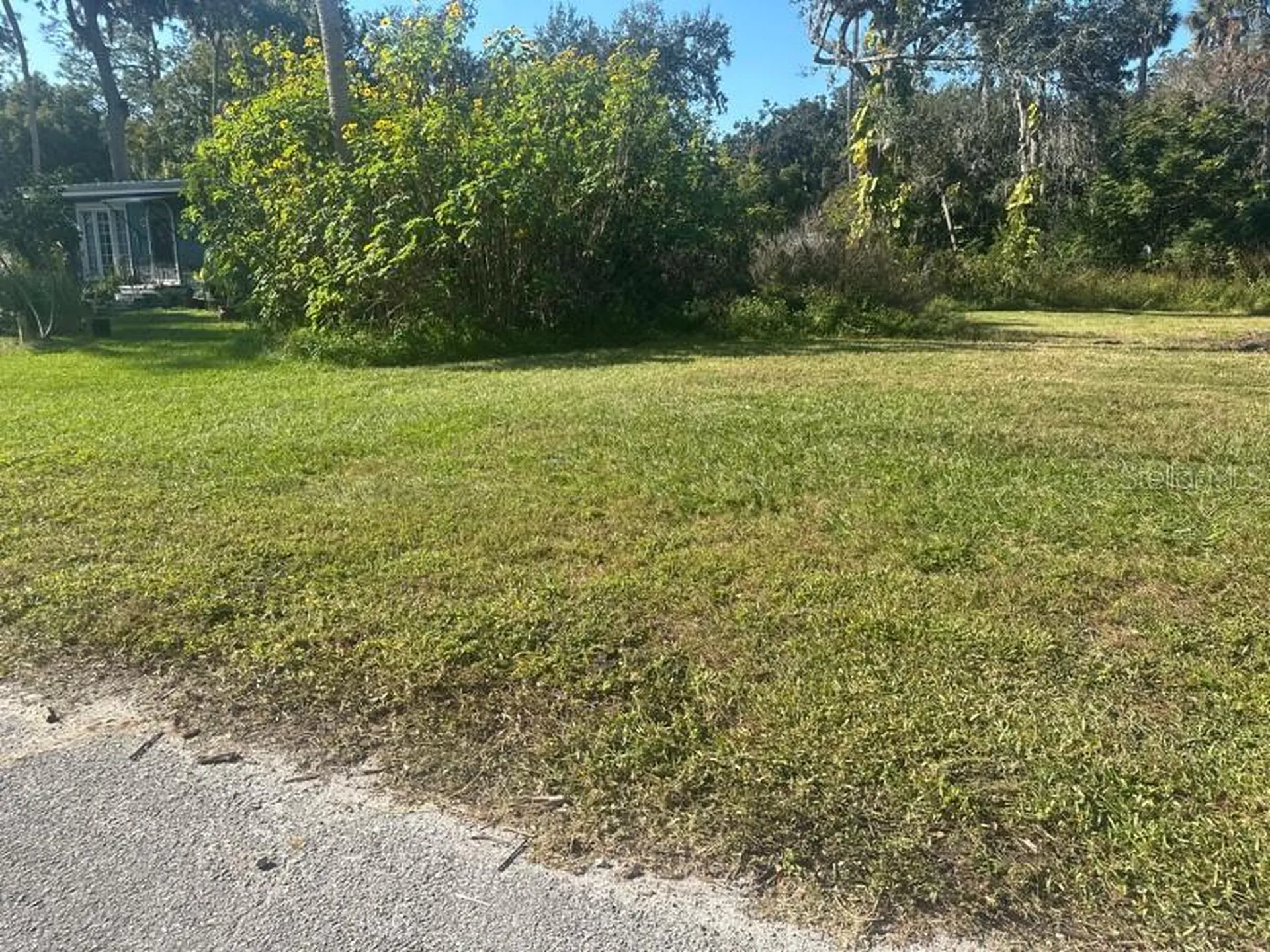 1148 Buena Vista Drive Daytona Beach FL 32117