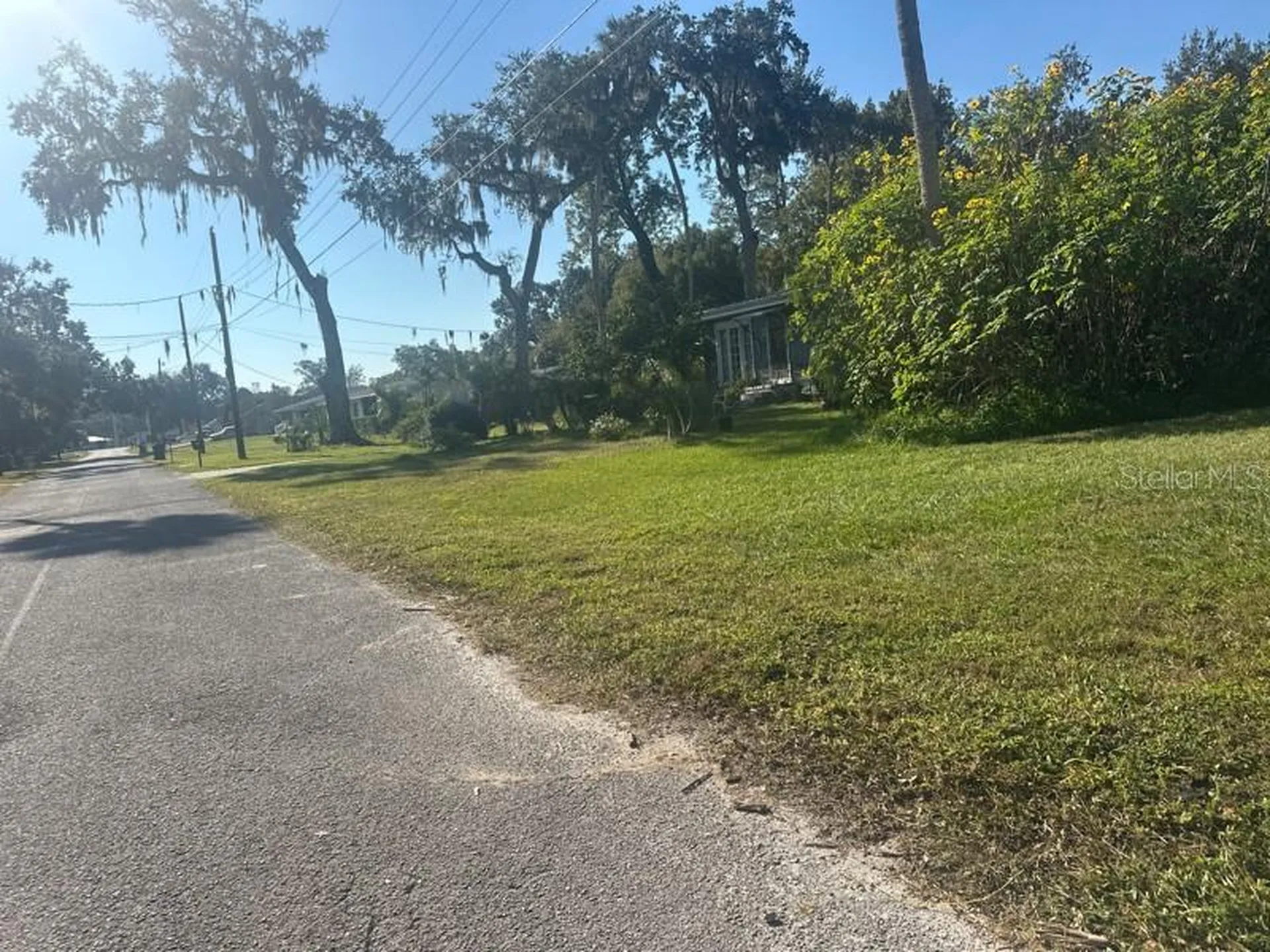 1148 Buena Vista Drive Daytona Beach FL 32117