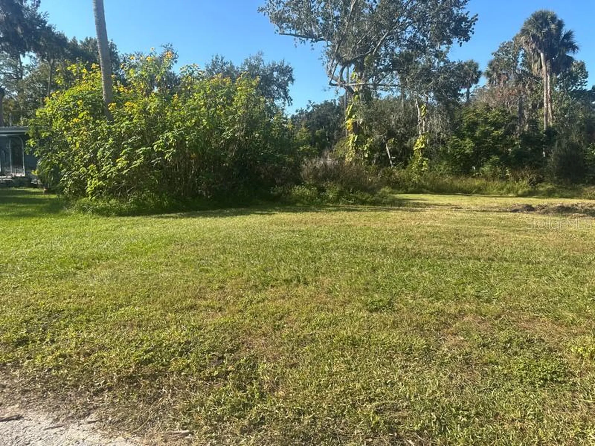 1148 Buena Vista Drive Daytona Beach FL 32117