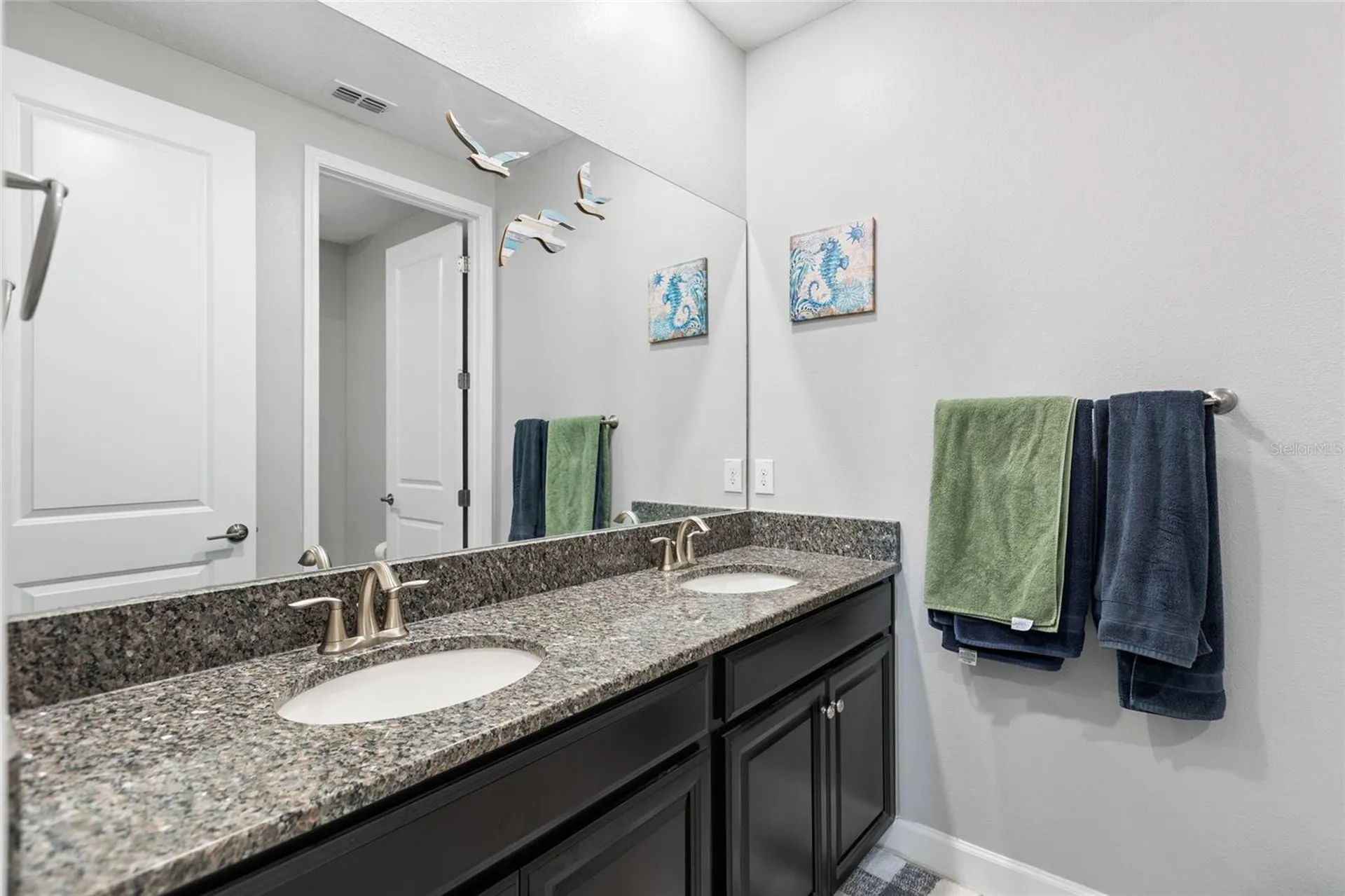 13208 Satin Lily Drive Riverview FL 33579
