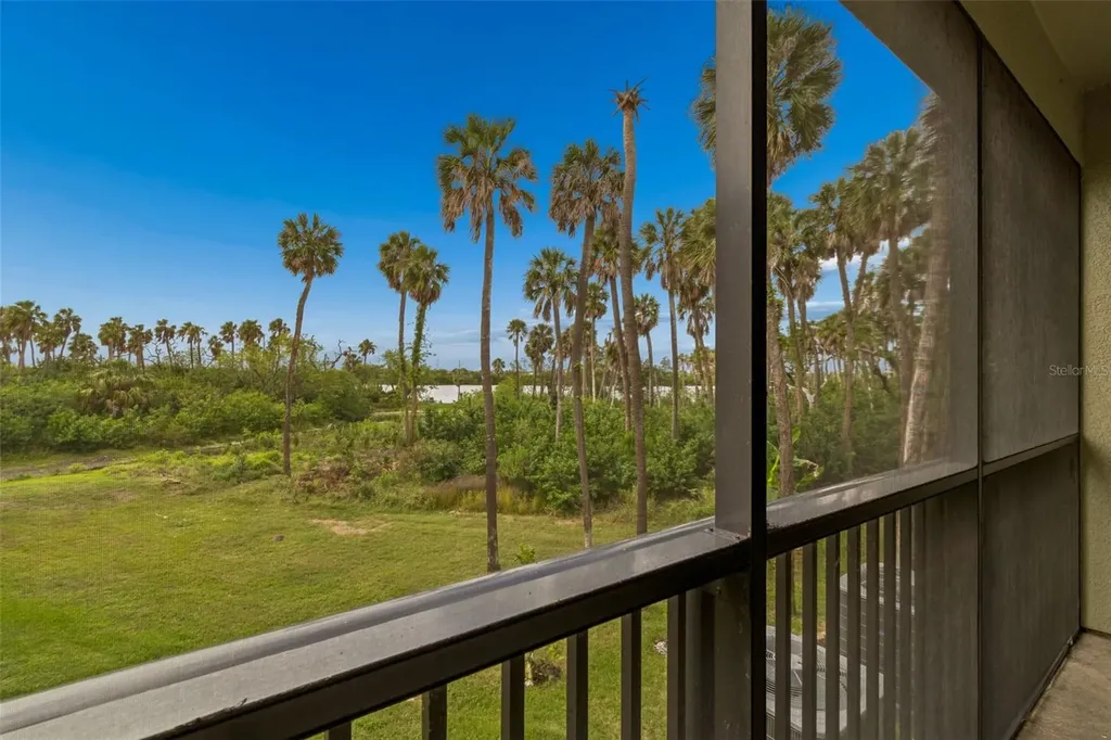 4706 Tuscan Loon Drive Tampa FL 33619