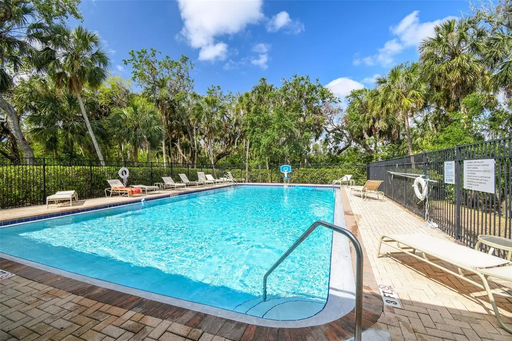 4706 Tuscan Loon Drive Tampa FL 33619