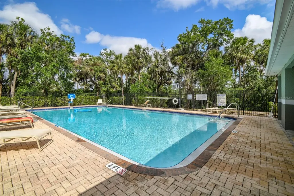 4706 Tuscan Loon Drive Tampa FL 33619