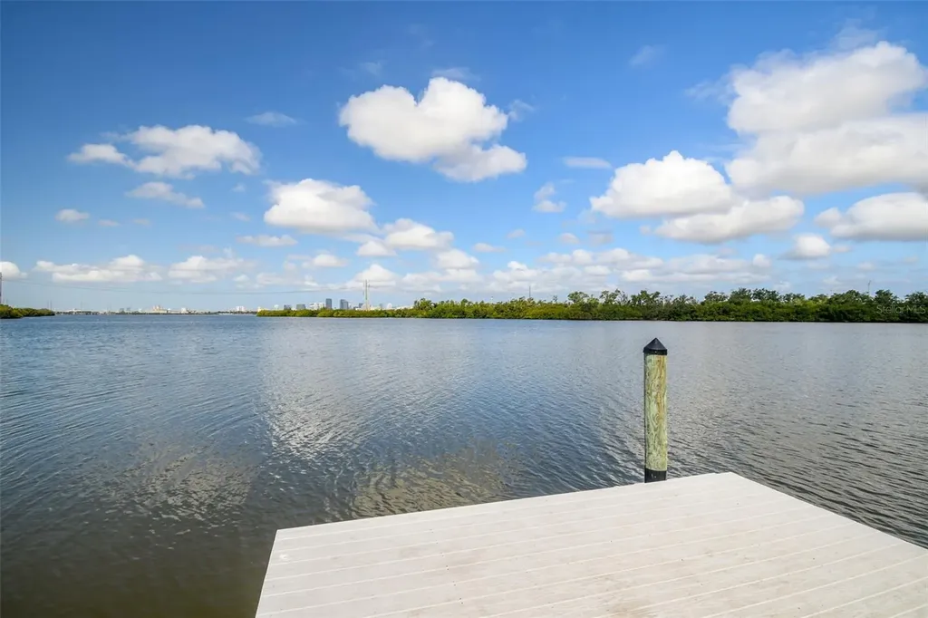 4706 Tuscan Loon Drive Tampa FL 33619