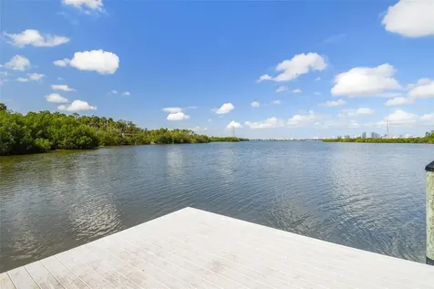 4706 Tuscan Loon Drive Tampa FL 33619