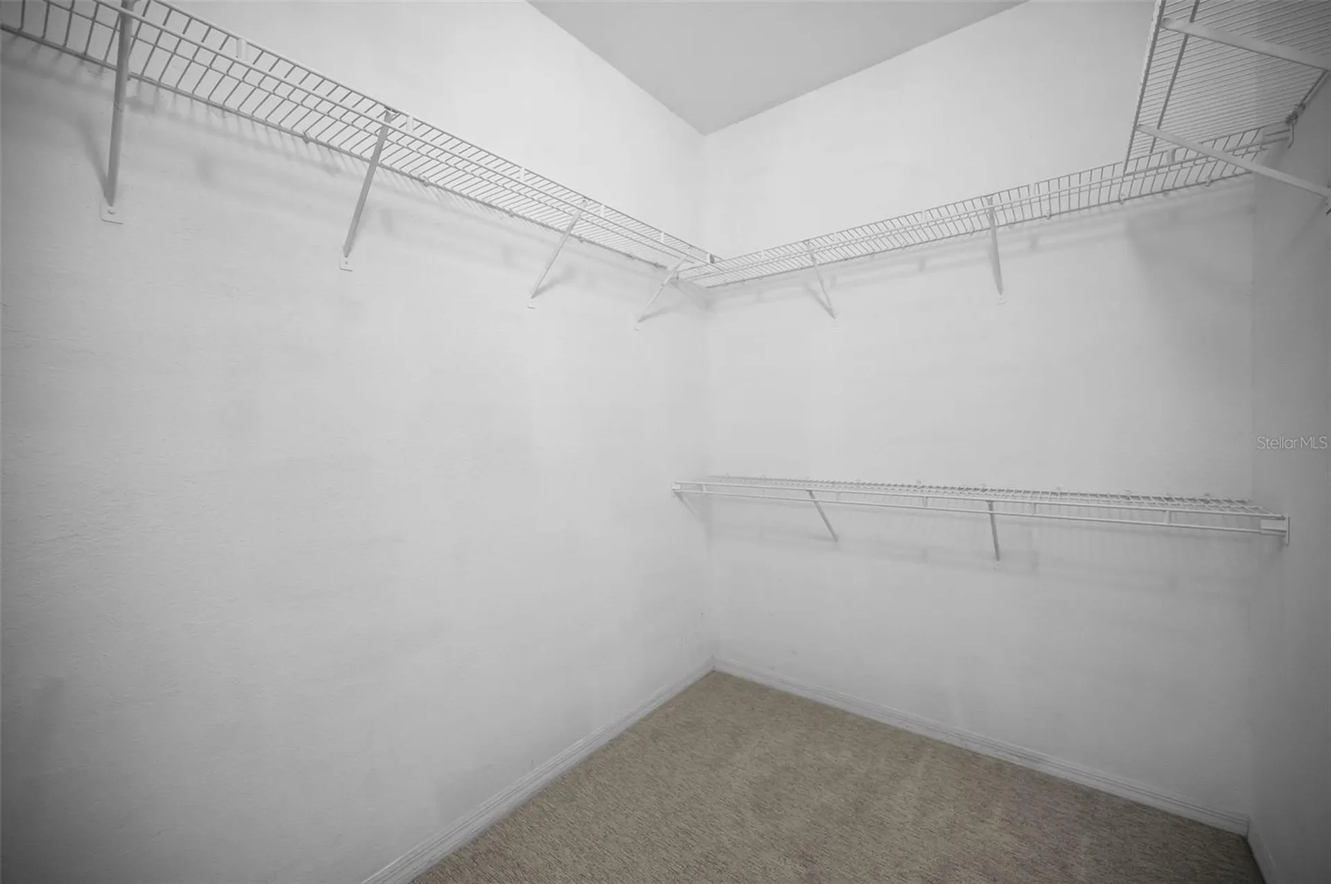913 Normandy Trace Road Tampa FL 33602