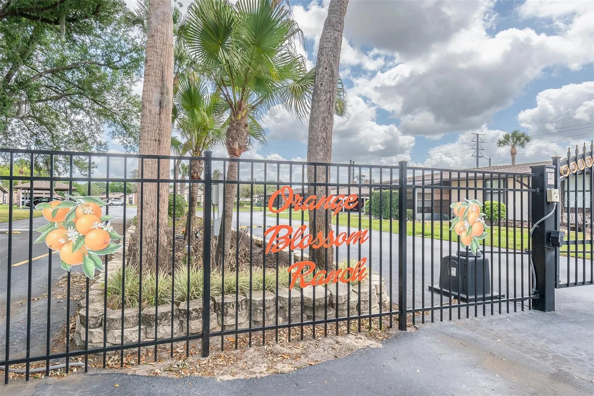 37730 Alissa Drive Zephyrhills FL 33542