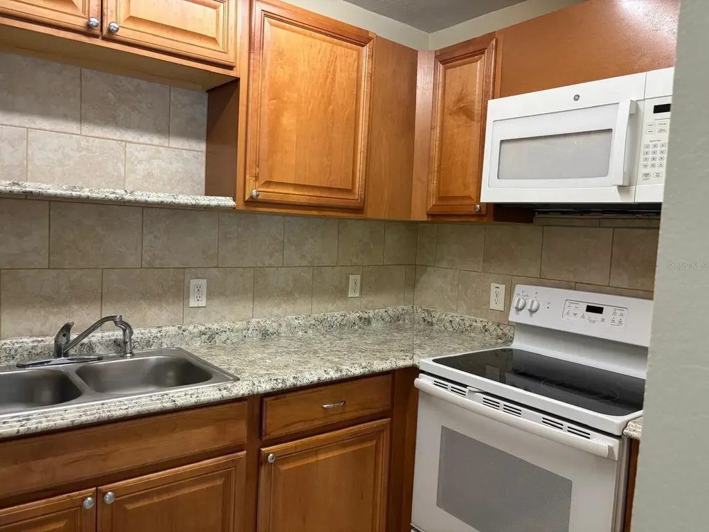 6747 Ralston Beach Circle Tampa FL 33614