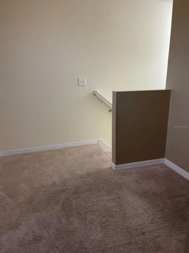 2950 Willowleaf Lane Wesley Chapel FL 33544