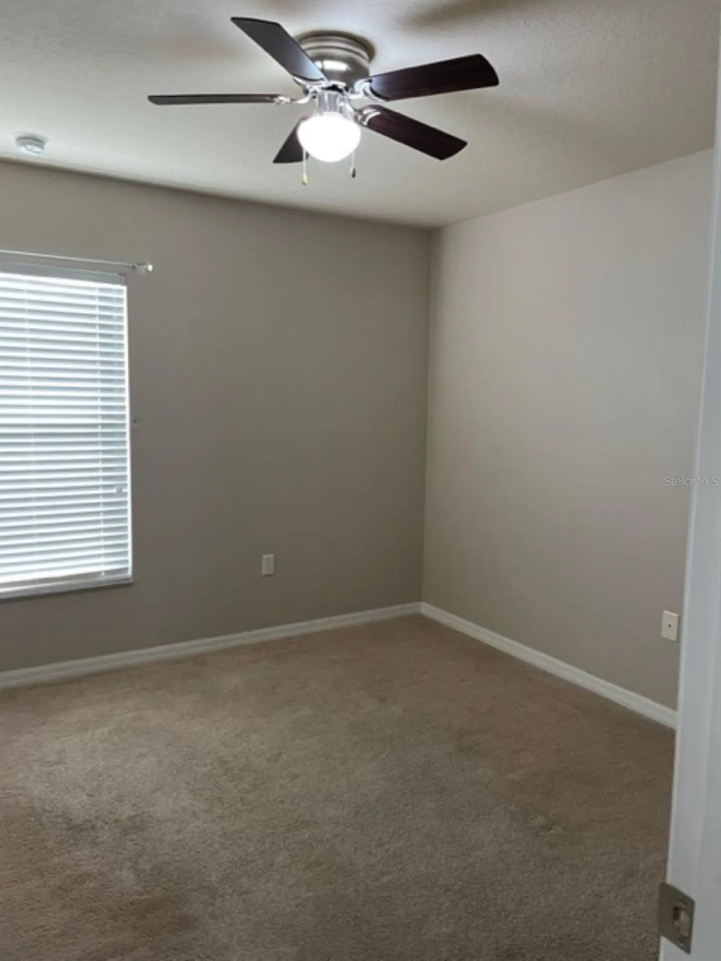 2950 Willowleaf Lane Wesley Chapel FL 33544