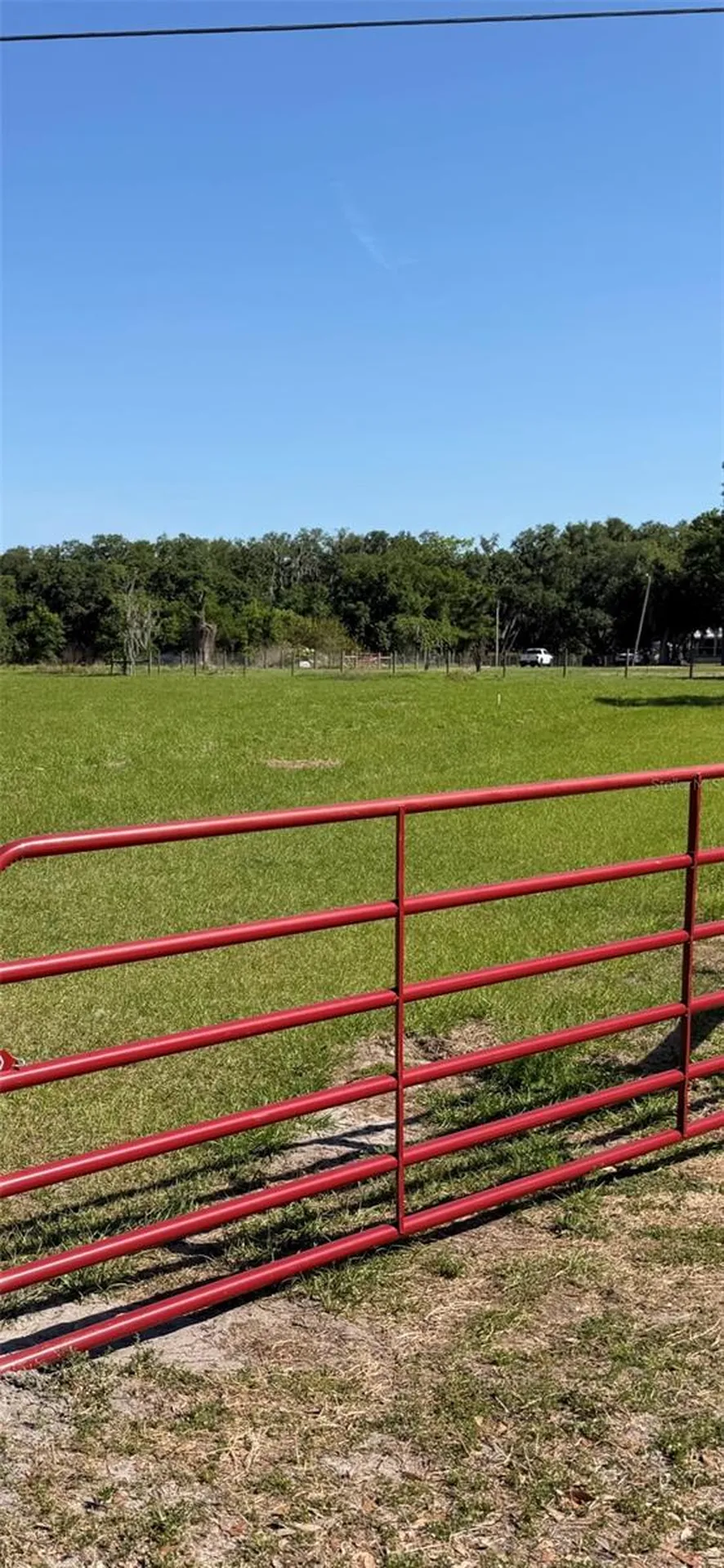Sydney Road Dover FL 33527