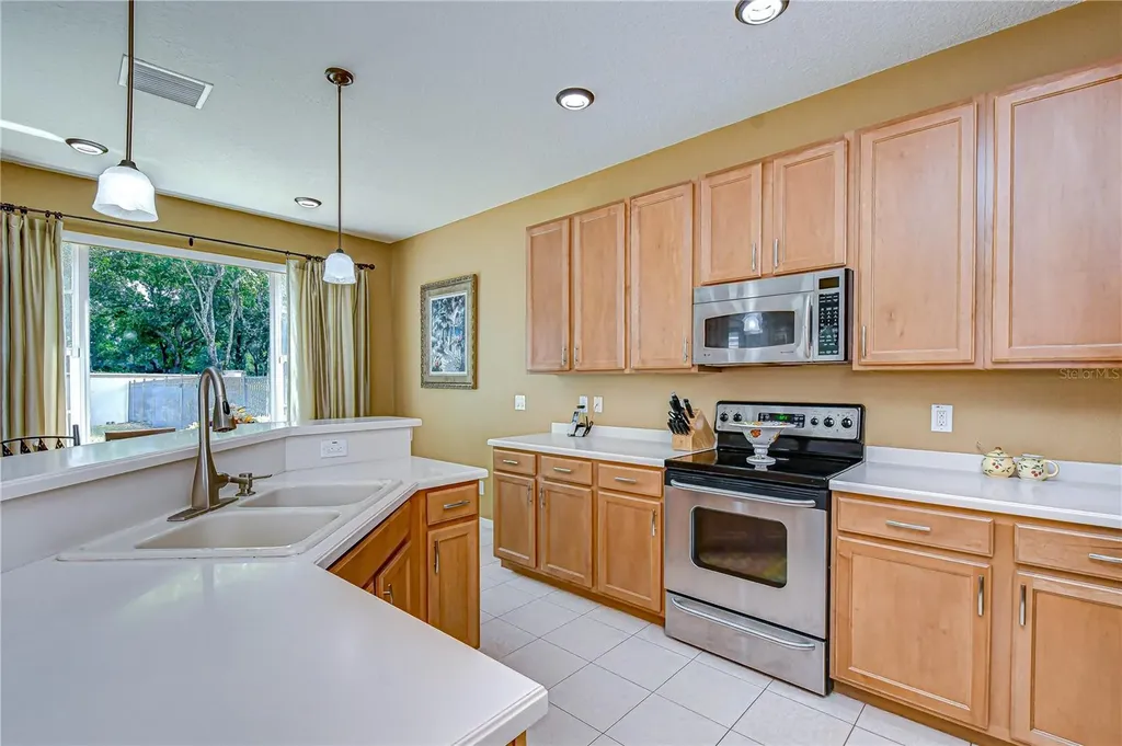 14507 Mirabelle Vista Circle Tampa FL 33626